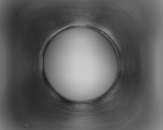 X0000089851366200706281012