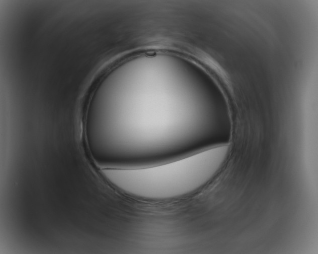X0000089851368200706281012