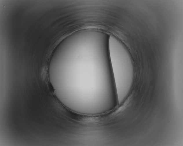 X0000089851369200706281012