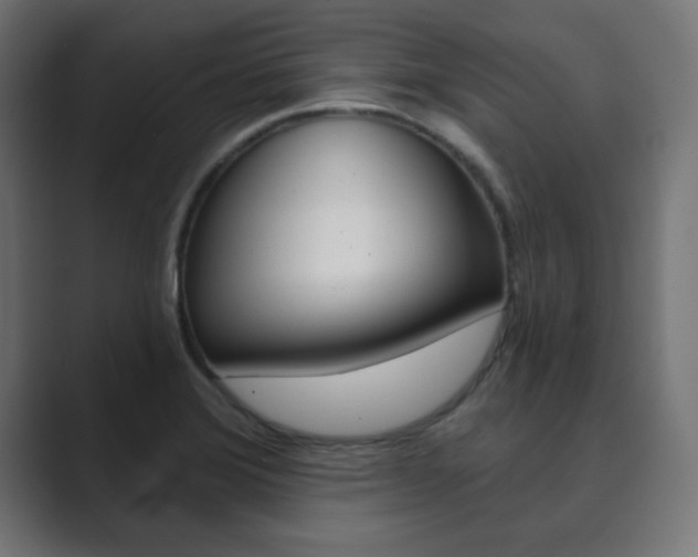 X0000089851372200706281012