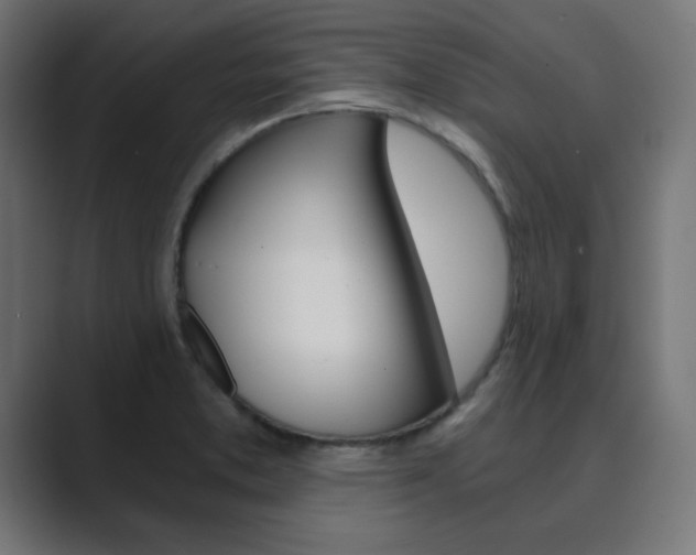 X0000089851373200706281012