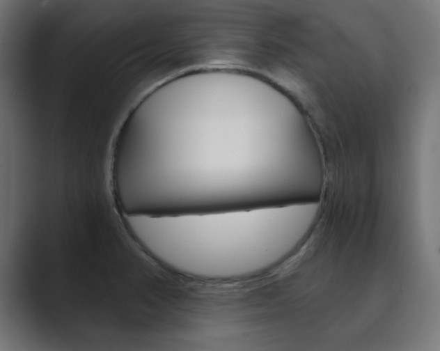 X0000089851374200706281012