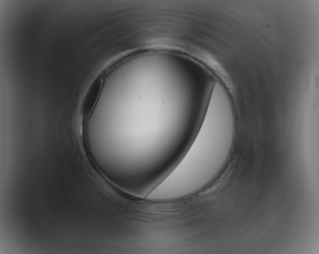 X0000089851376200706281012