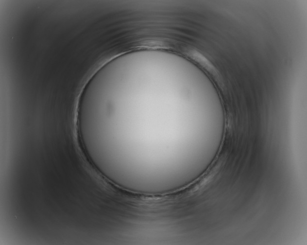 X0000089851378200706281012
