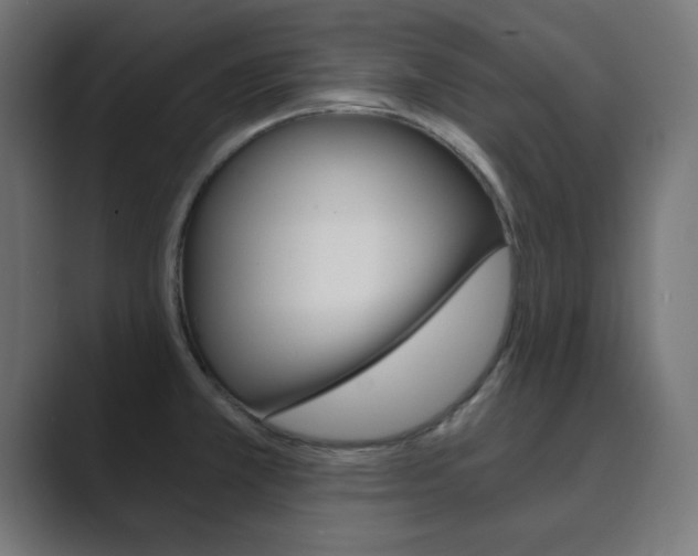 X0000089851381200706281012