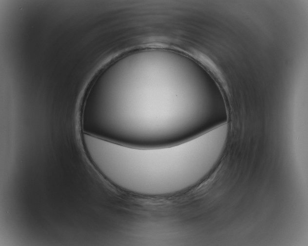 X0000089851384200706281012