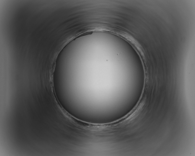 X0000089851385200706281012