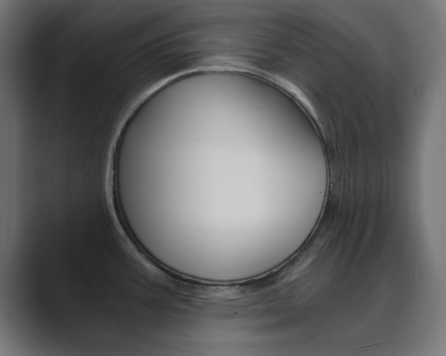 X0000089851387200706281012
