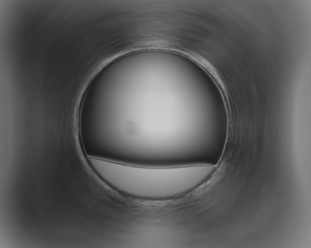 X0000089851389200706281012