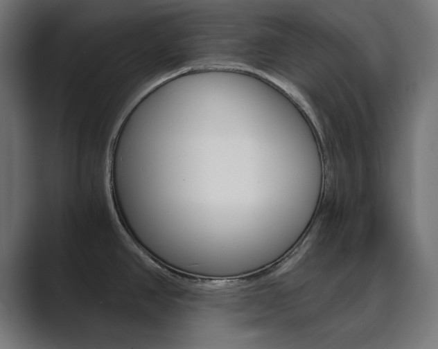 X0000089851390200706281012