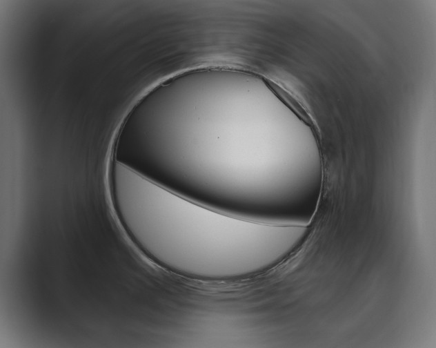 X0000089851391200706281012