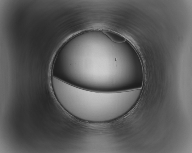 X0000089851392200706281012