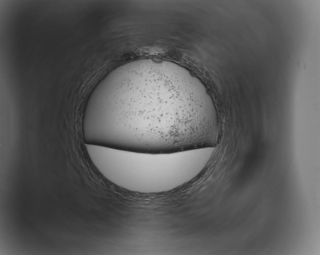X0000089851393200706281011
