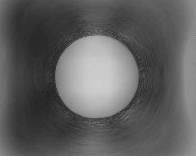 X0000089851394200706281011