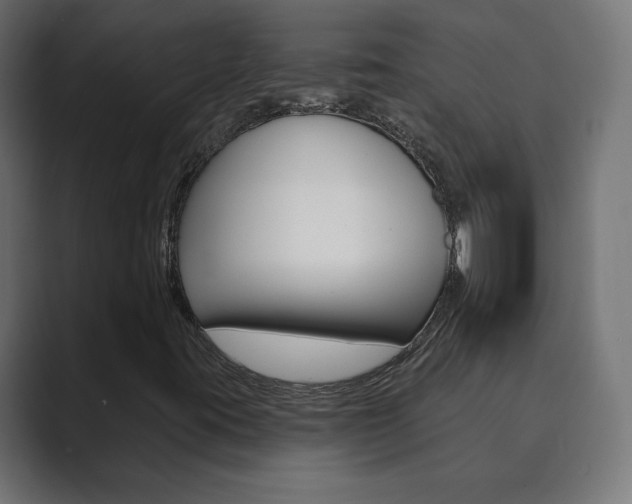 X0000089851395200706281011