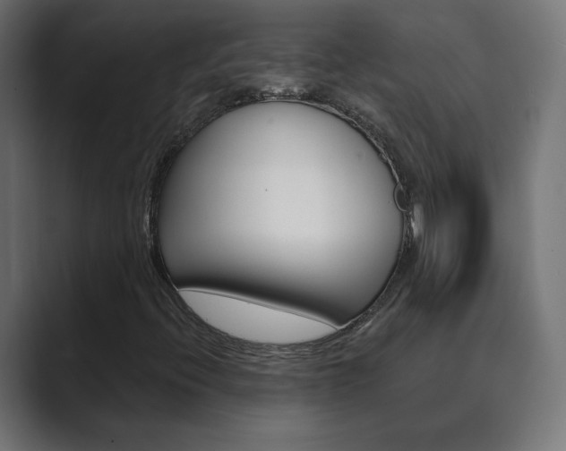 X0000089851396200706281011