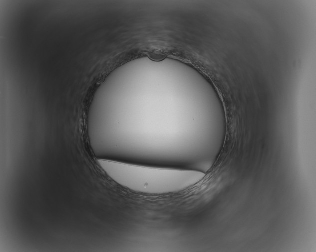 X0000089851397200706281011