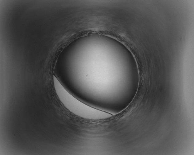 X0000089851398200706281011