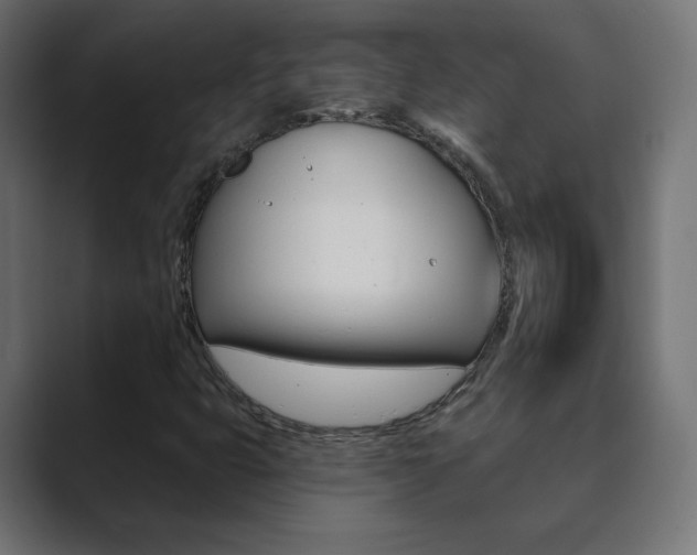 X0000089851399200706281011