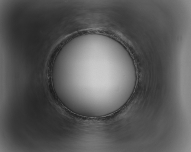X0000089851400200706281011
