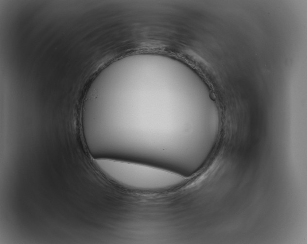 X0000089851401200706281011