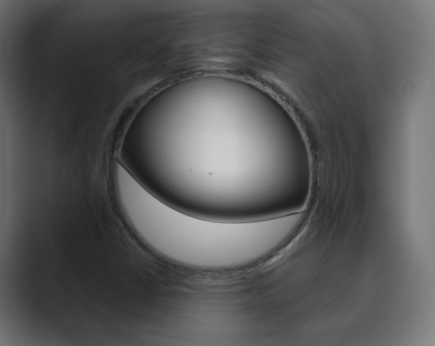 X0000089851402200706281011