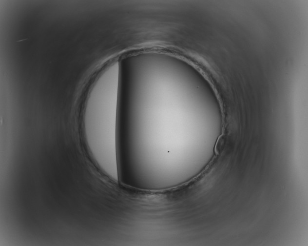 X0000089851406200706281011