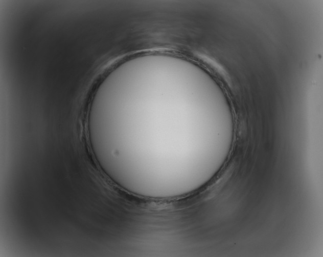 X0000089851407200706281011