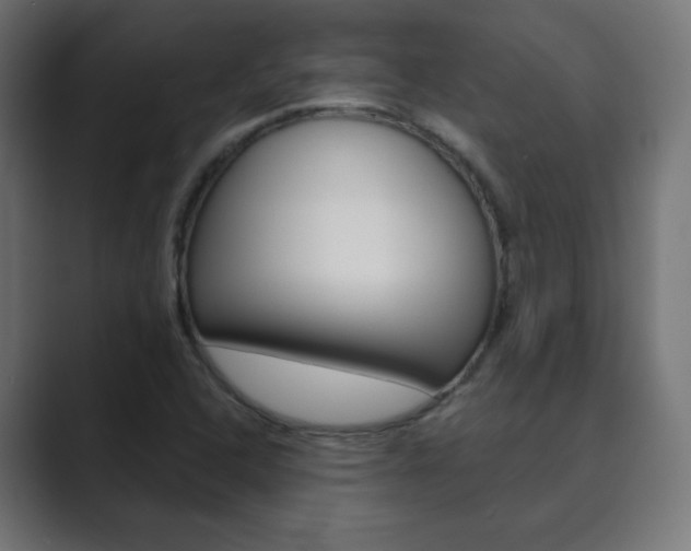 X0000089851408200706281011