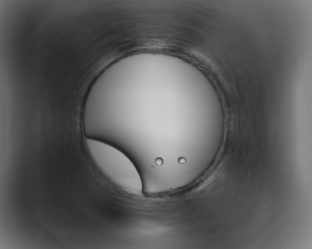X0000089851409200706281011