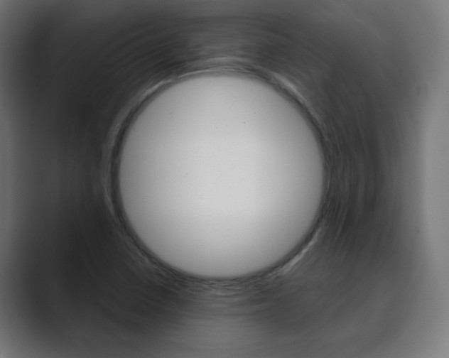 X0000089851410200706281011