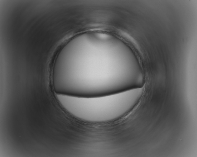 X0000089851411200706281011