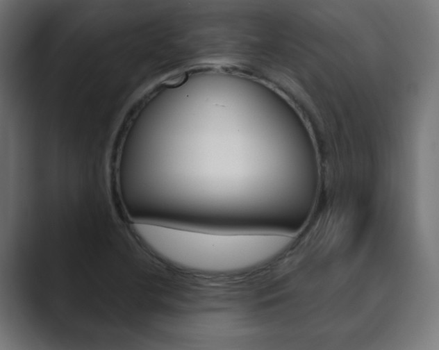 X0000089851412200706281011