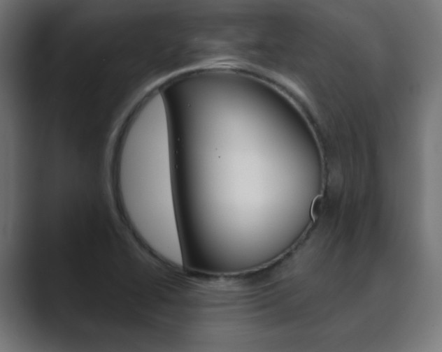 X0000089851414200706281011