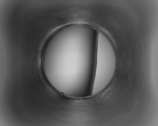 X0000089851416200706281011