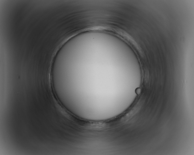 X0000089851417200706281011
