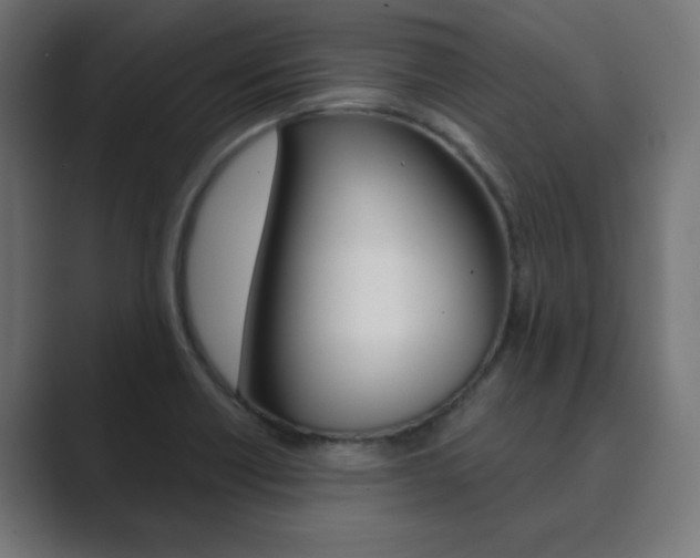 X0000089851418200706281011