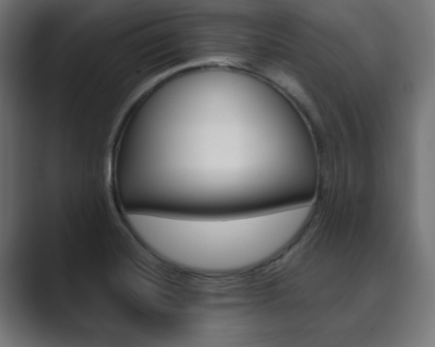 X0000089851420200706281011