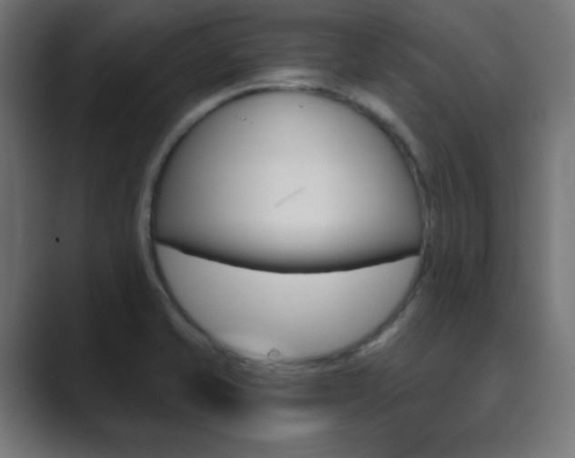 X0000089851421200706281011