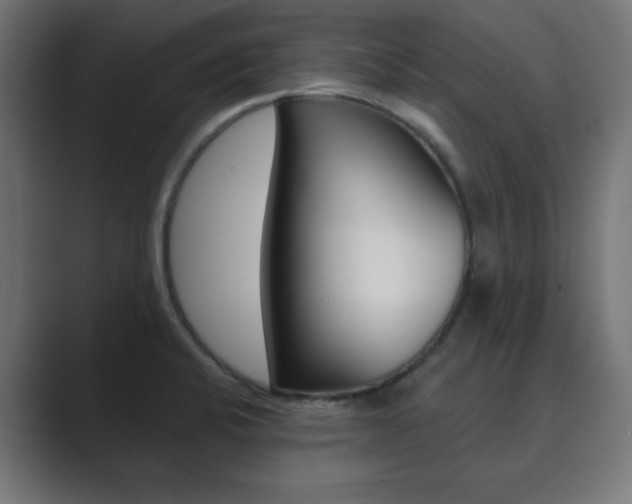 X0000089851424200706281012