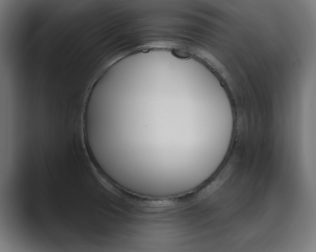 X0000089851425200706281012