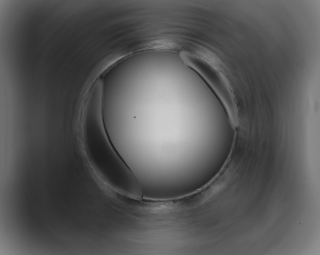 X0000089851426200706281012