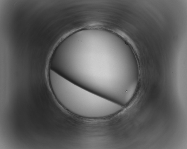 X0000089851429200706281012