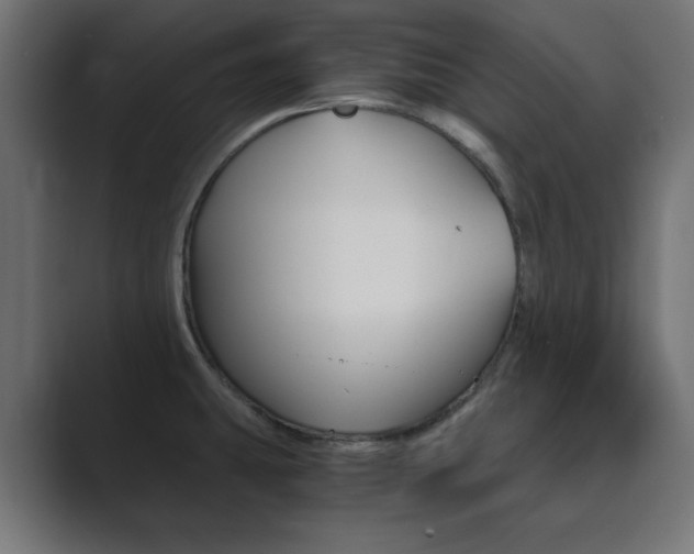X0000089851431200706281012