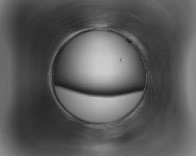 X0000089851432200706281012