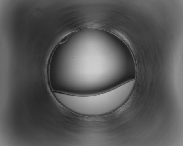 X0000089851434200706281012
