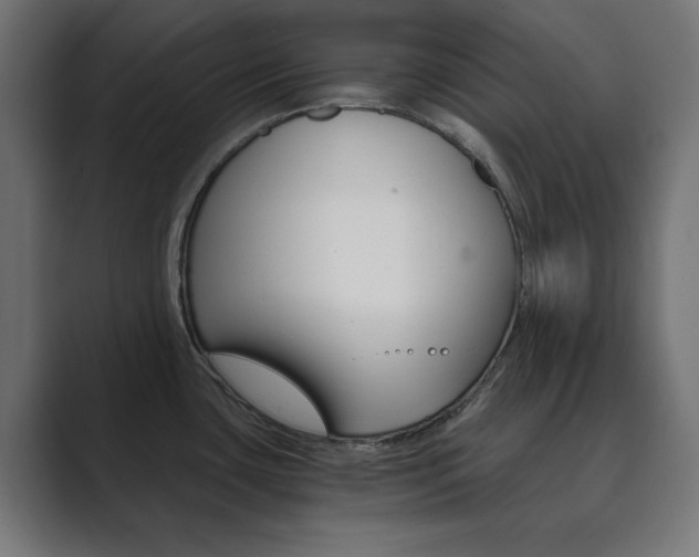 X0000089851435200706281012