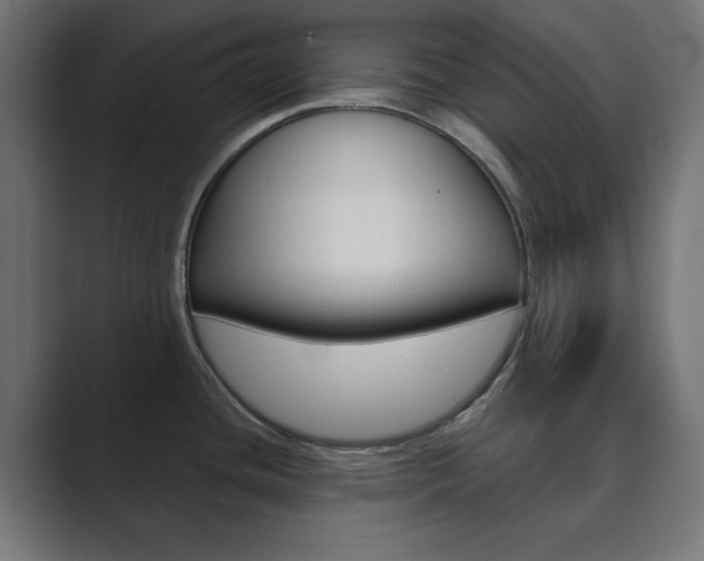 X0000089851436200706281012