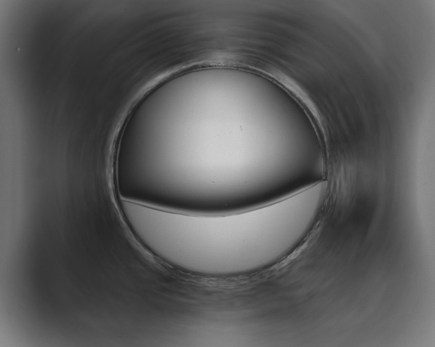 X0000089851437200706281012