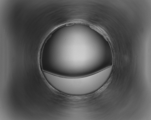X0000089851438200706281012